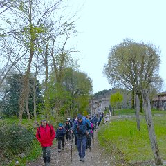 P1190756   Cielo coperto, temperatura autunnale, da escursione.